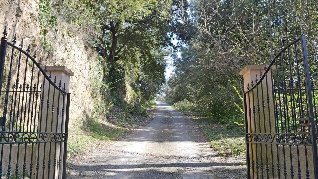 Photo of Others in Montauroux
