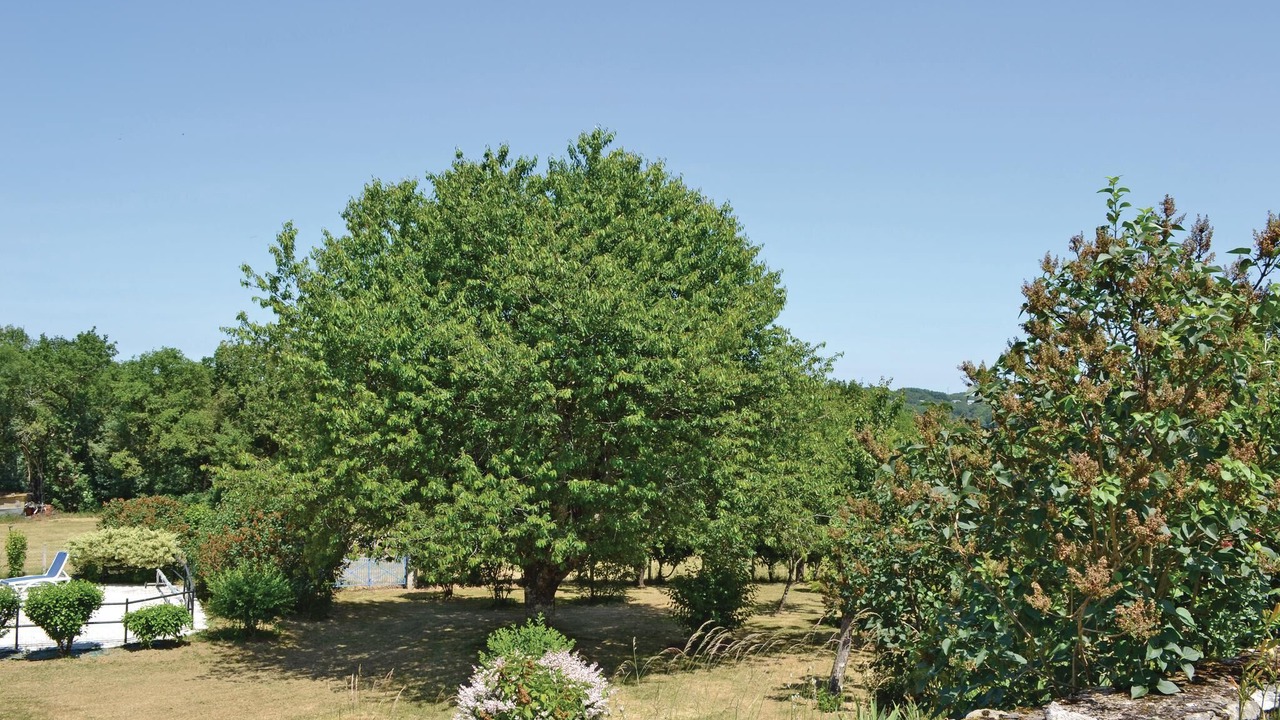 Photo of Outdoor in La Dornac