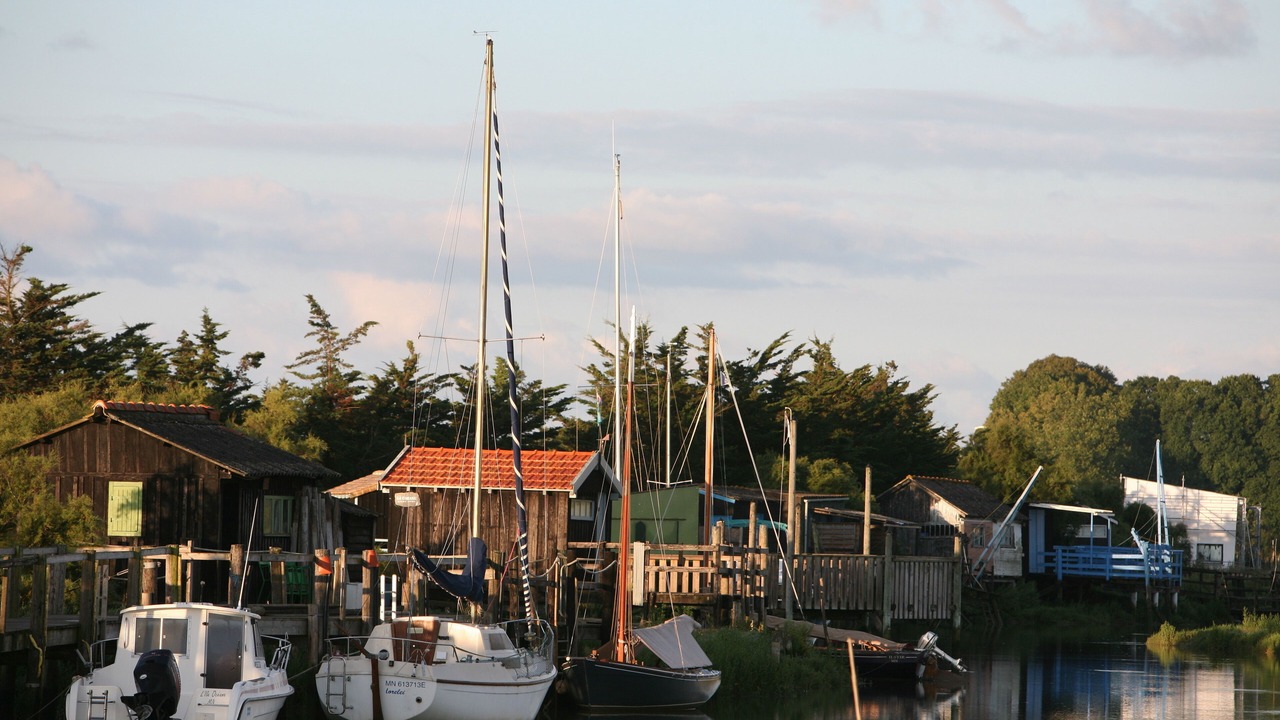 Photo of Others in Mornac-sur-Seudre