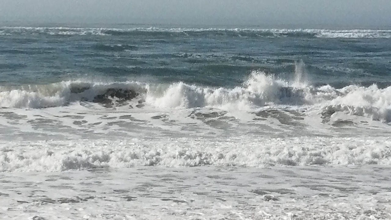 Photo of Others in Mornac-sur-Seudre