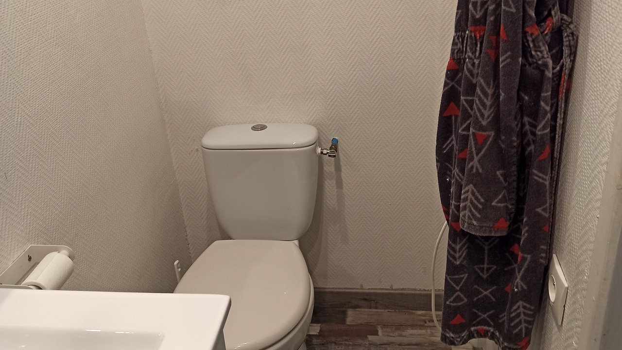 Photo of Bathroom in Allevard