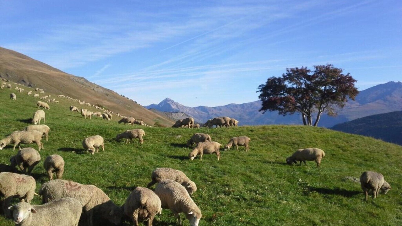 Photo of Others in Saint-Michel-de-Maurienne