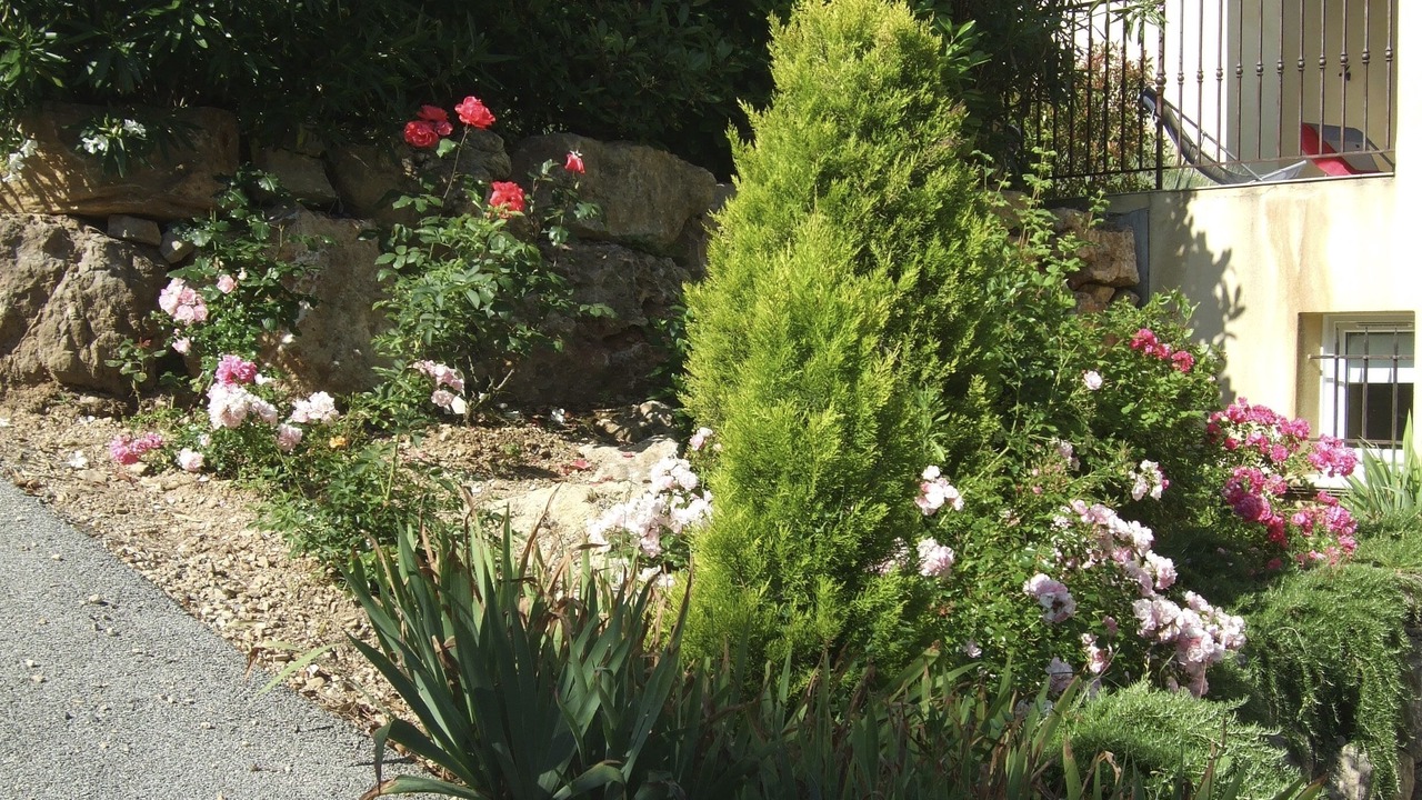 Photo of Outdoor in Montauroux