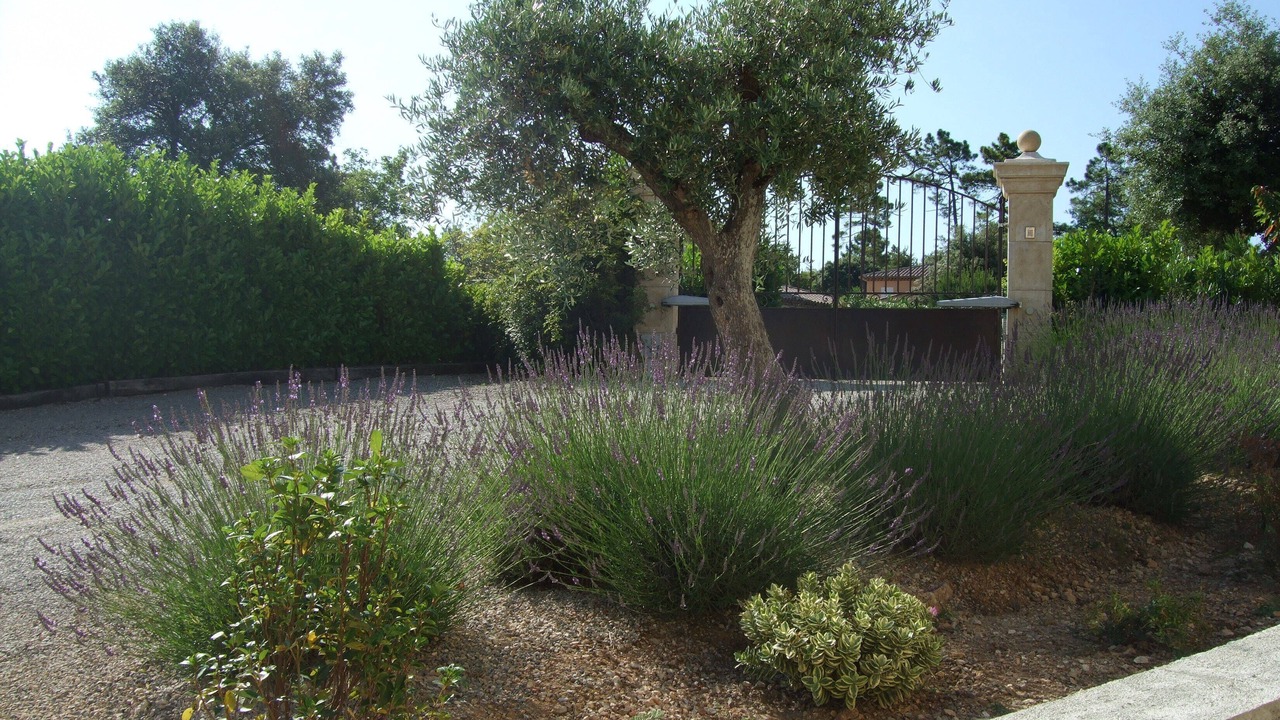 Photo of Outdoor in Montauroux