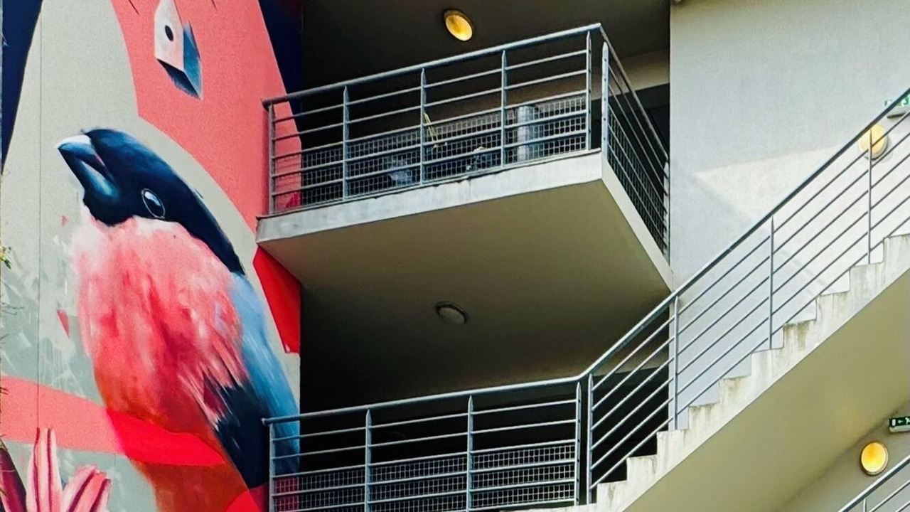 Photo of Outdoor in Chartrons