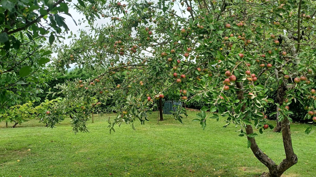 Photo of Outdoor in Siorac-en-Perigord