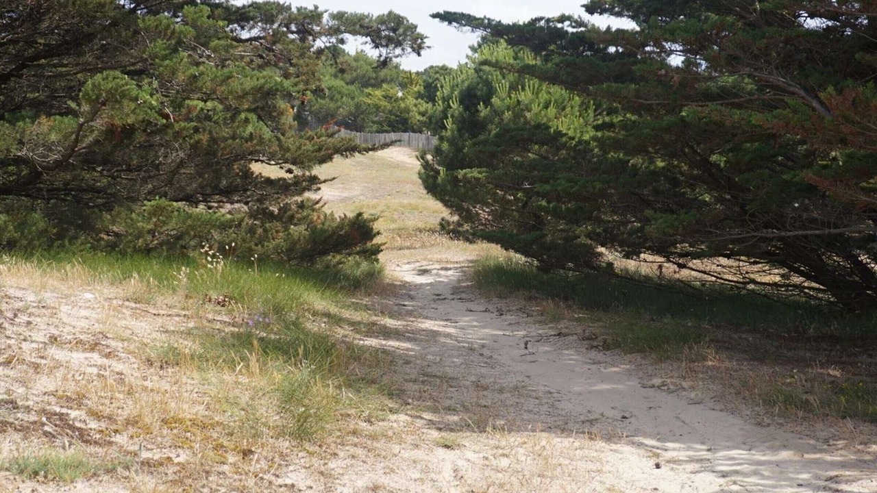 Photo of Outdoor in Barbatre