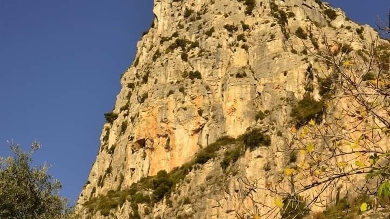 Photo of Others in Vence