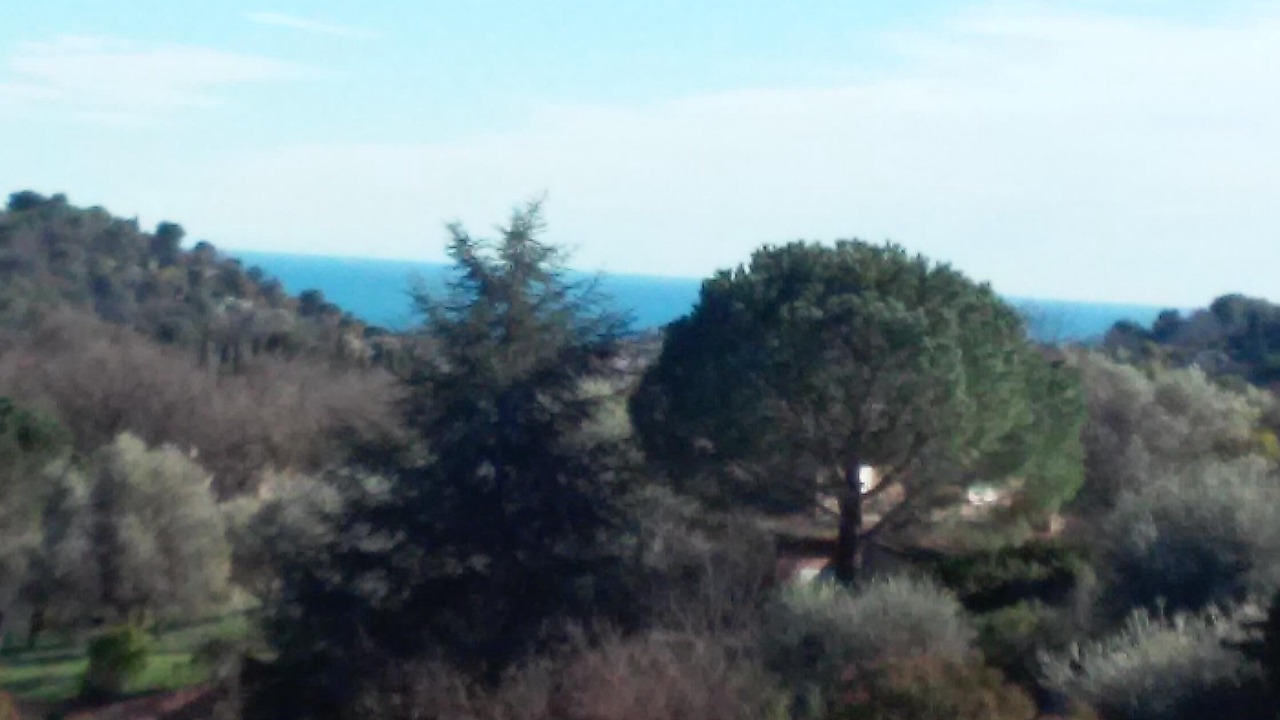 Photo of Others in Vence