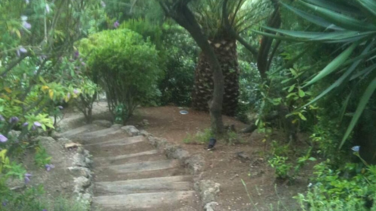 Photo of Outdoor in Les Issambres