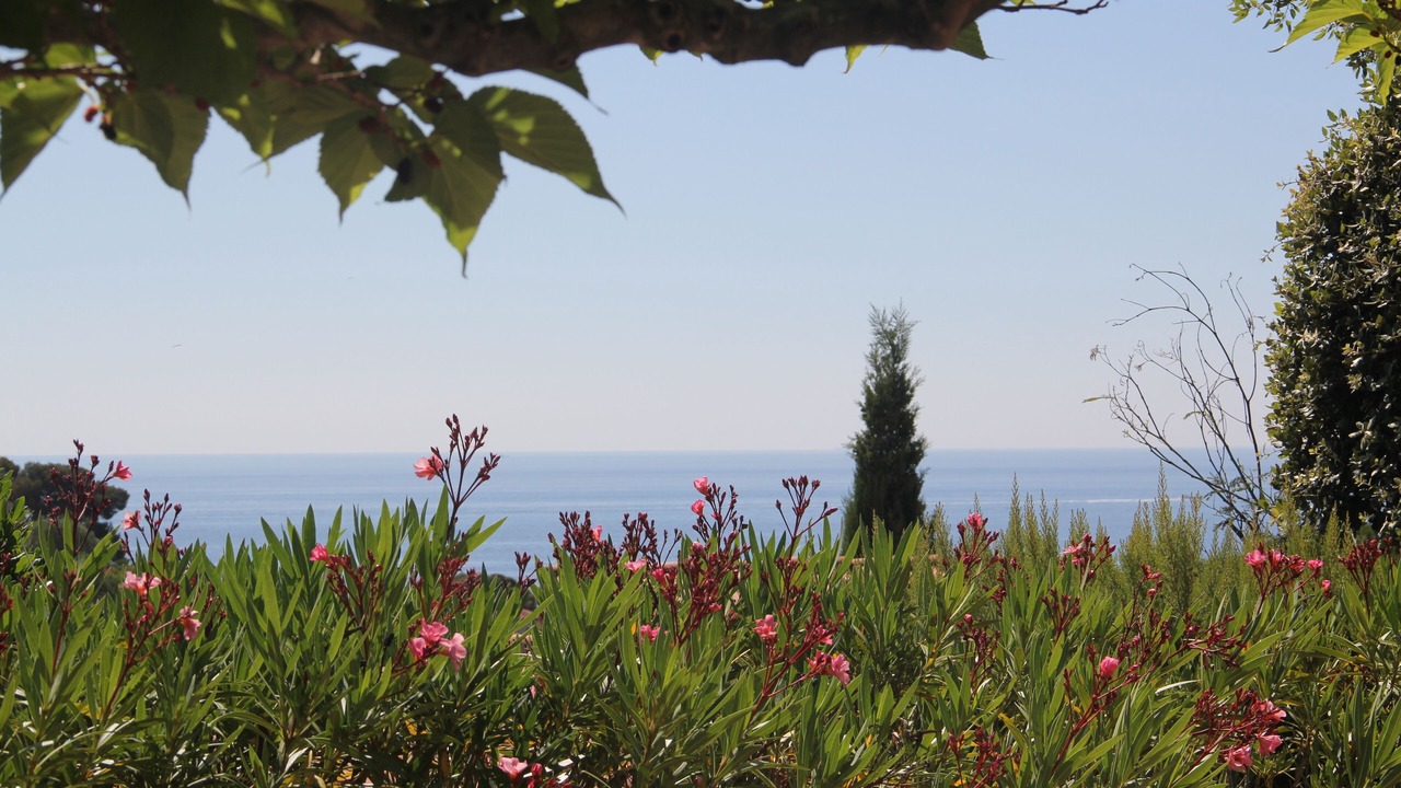 Photo of Outdoor in Les Issambres