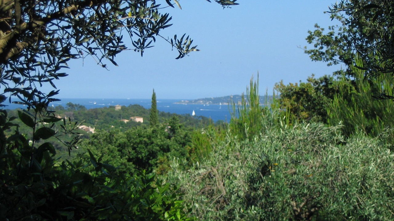 Photo of Outdoor in Grimaud