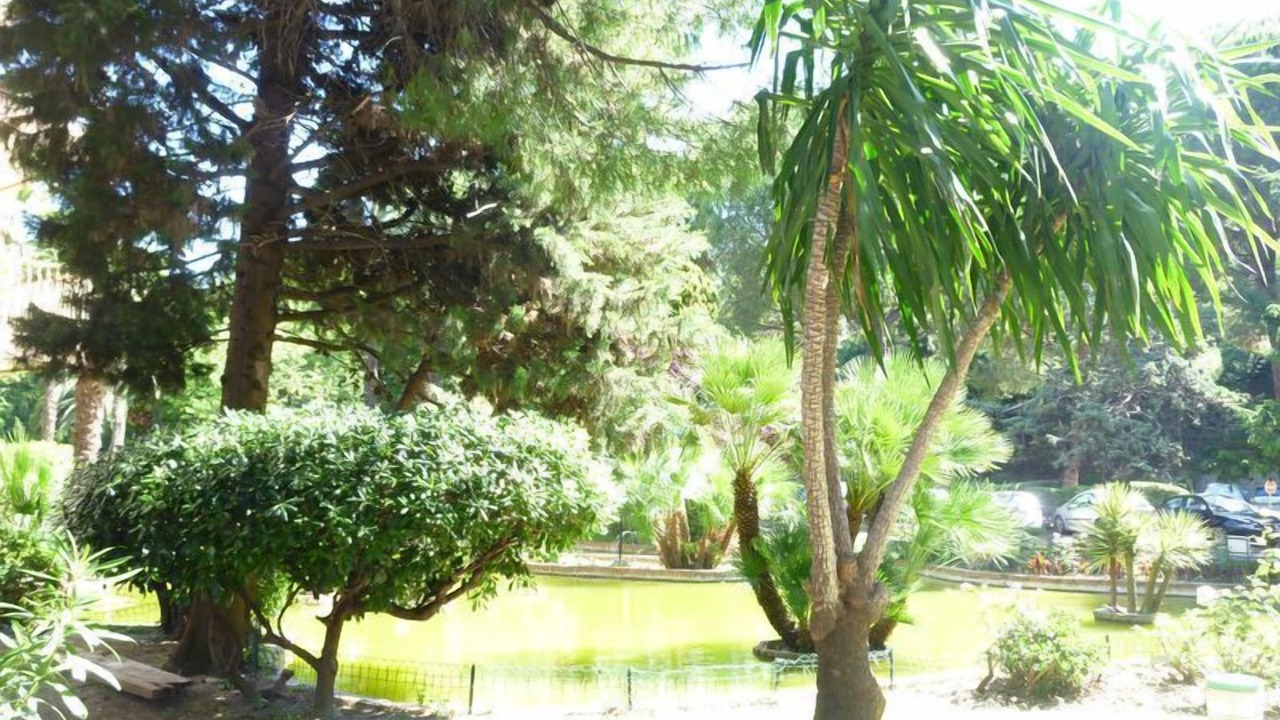 Photo of Outdoor in Cros-de-Cagnes