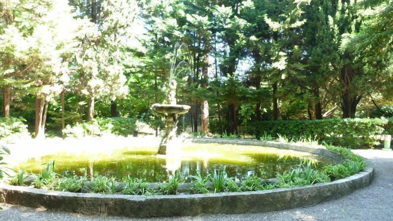 Photo of Outdoor in Cros-de-Cagnes