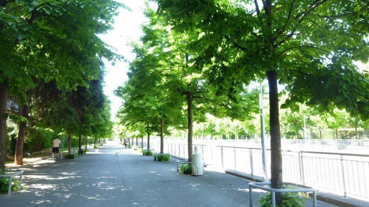 Photo of Outdoor in Cros-de-Cagnes
