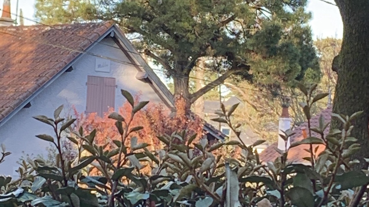 Photo of Outdoor in La Baule-Escoublac