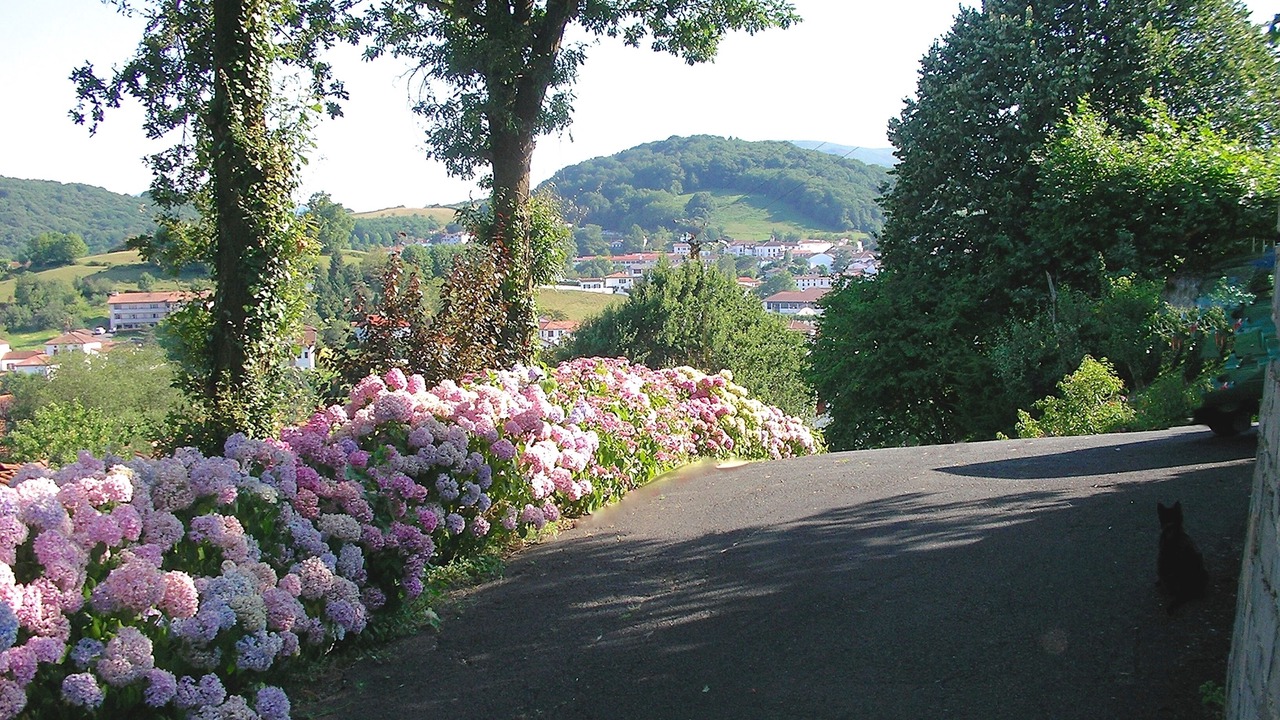 Photo of Outdoor in Hasparren