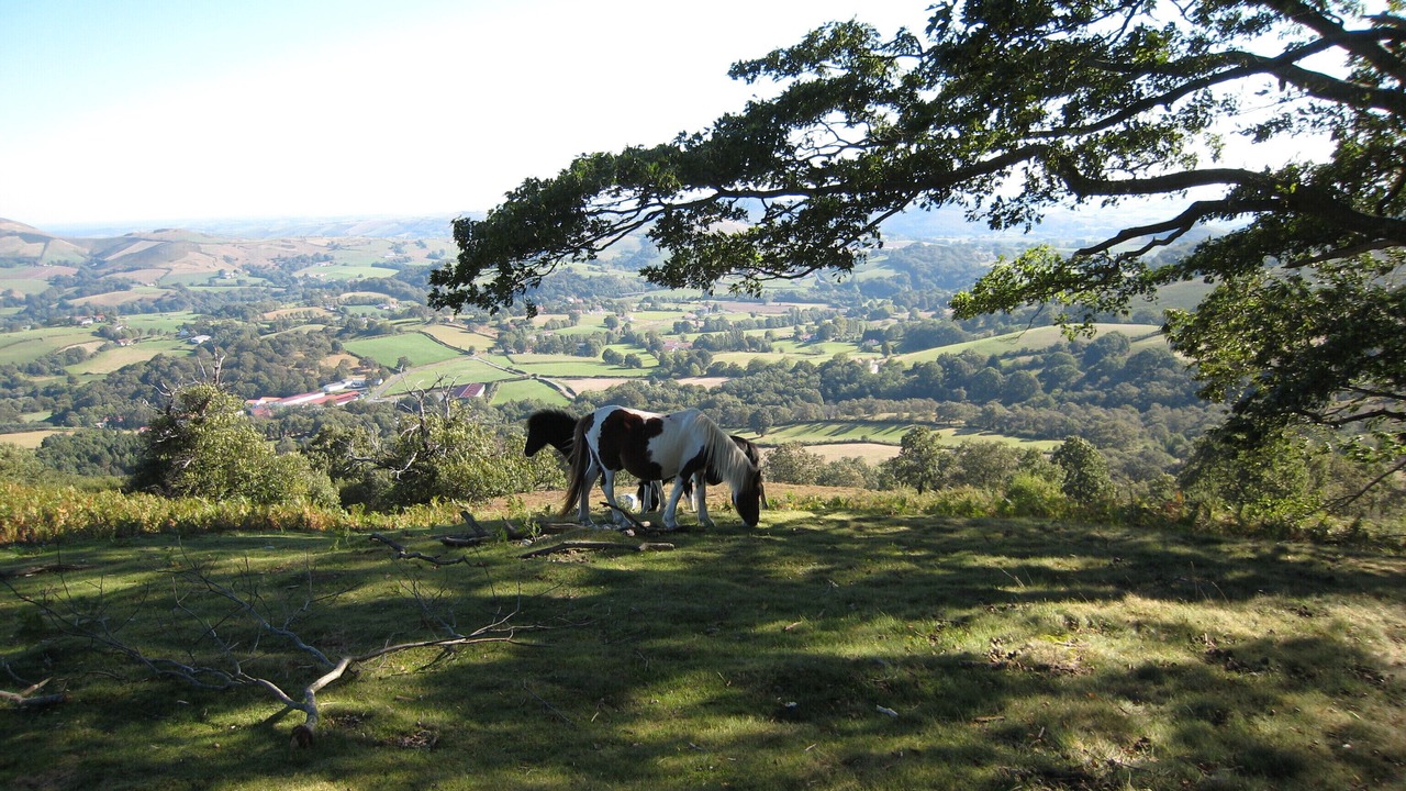 Photo of Outdoor in Hasparren
