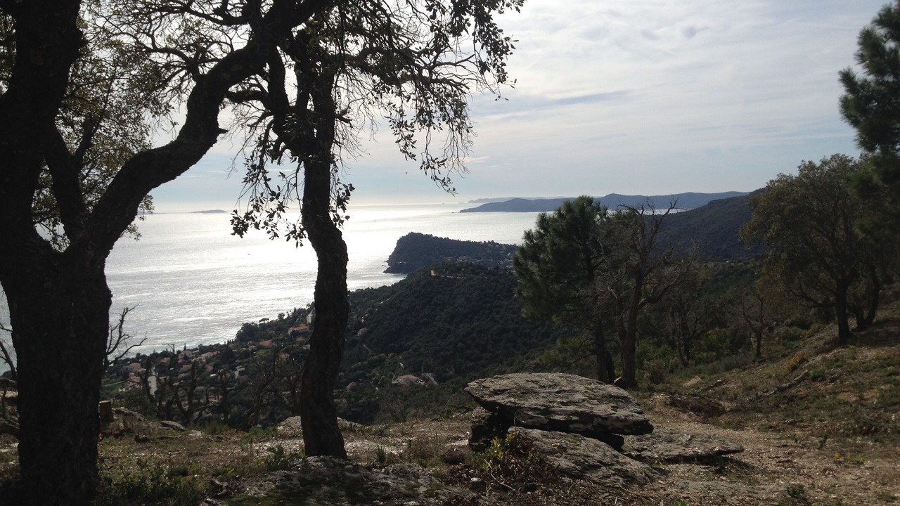Photo of Outdoor in Cavalaire-sur-Mer