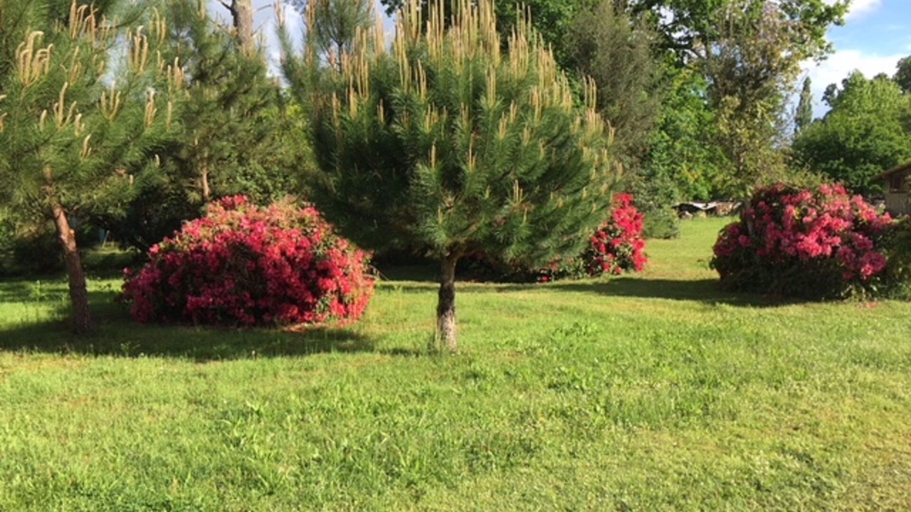Photo of Outdoor in Saint-Julien-en-Born