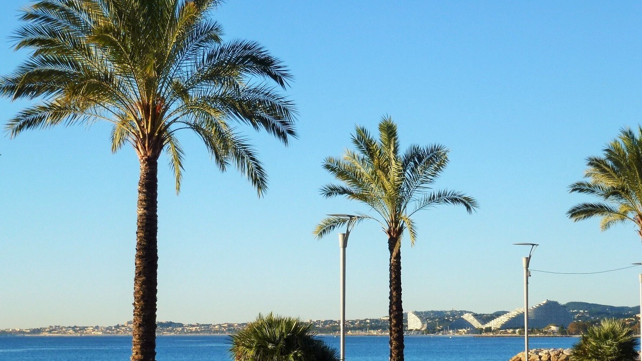 Photo of Others in Cagnes-sur-Mer