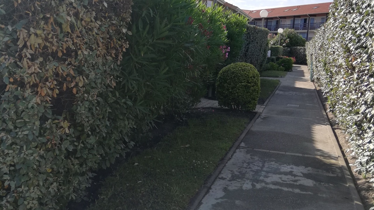 Photo of Outdoor in Biscarrosse Plage