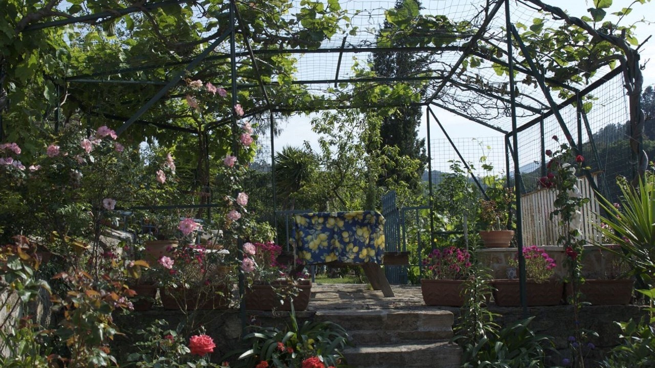 Photo of Outdoor in Theoule-sur-Mer