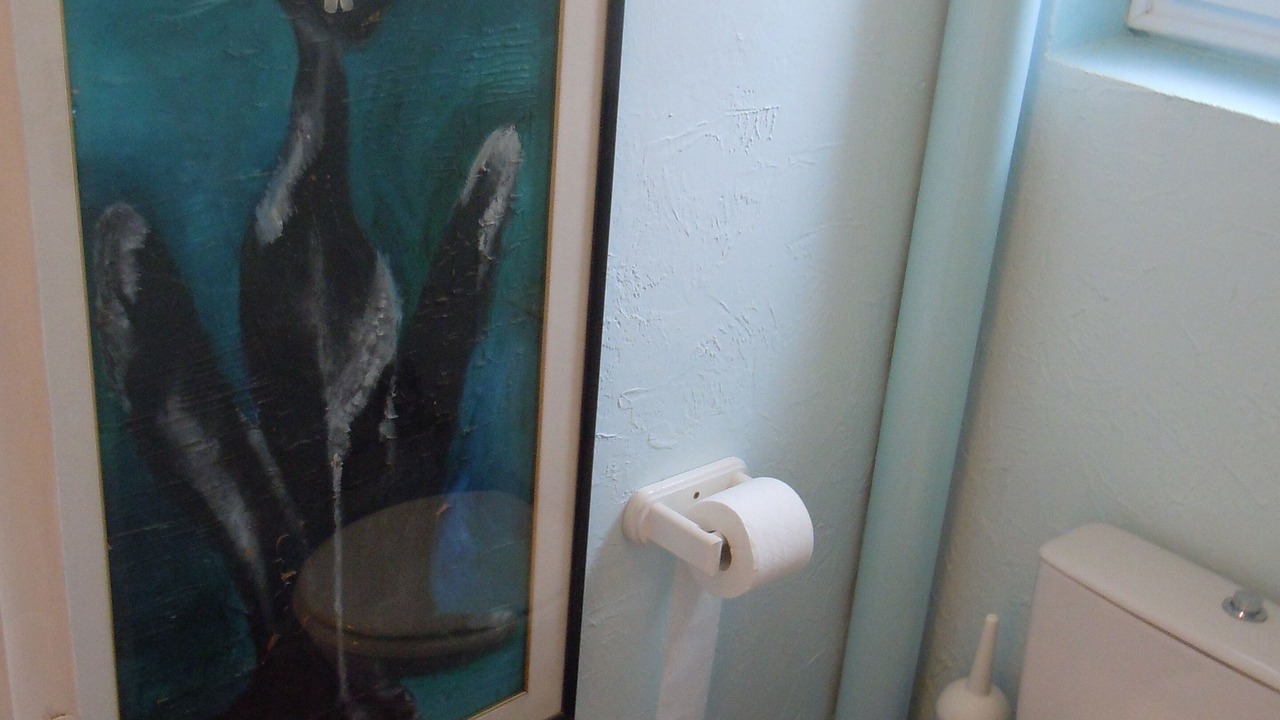 Photo of Bathroom in Castillon