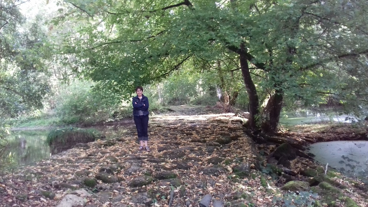 Photo of Outdoor in Conquereuil