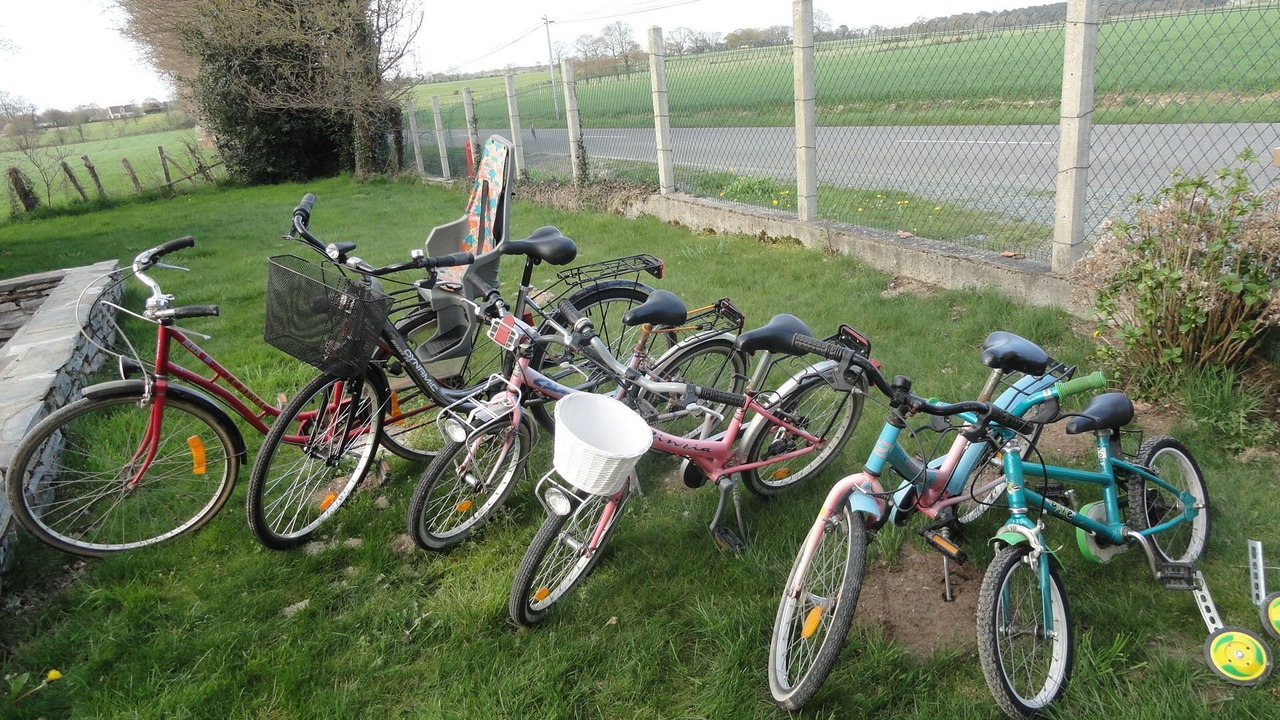 Photo of Outdoor in Conquereuil
