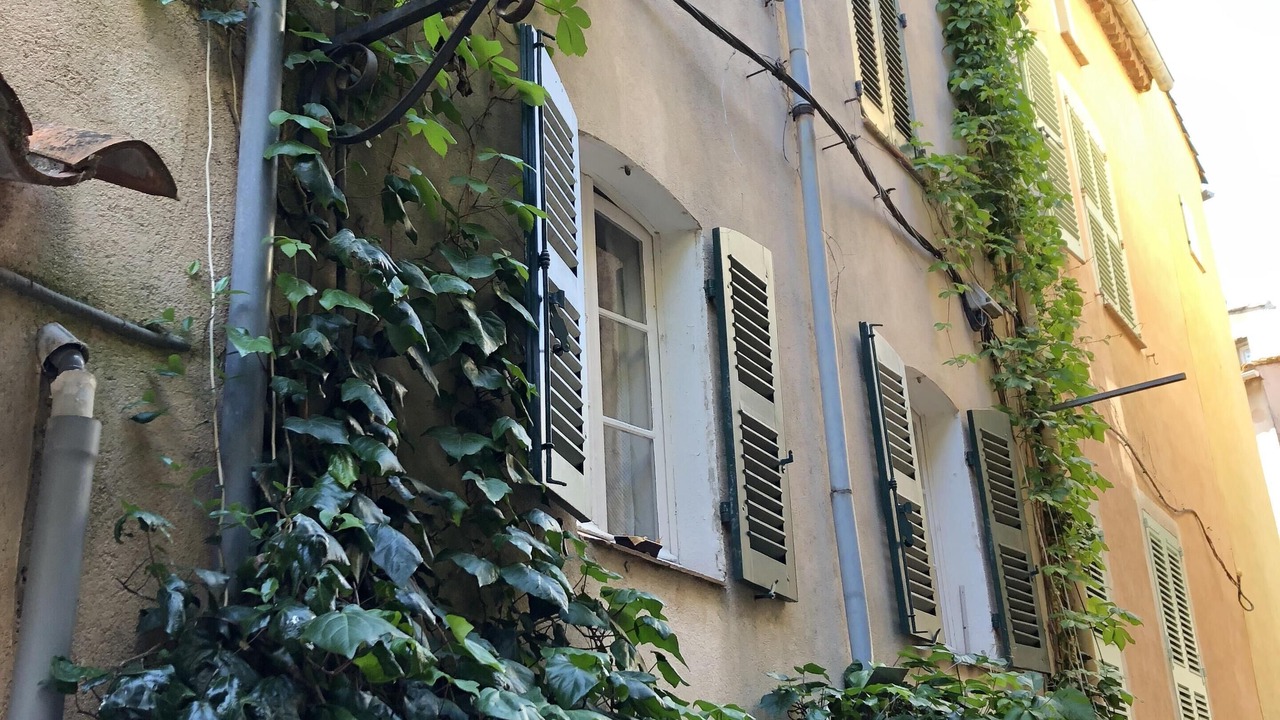 Photo of Outdoor in Old Town