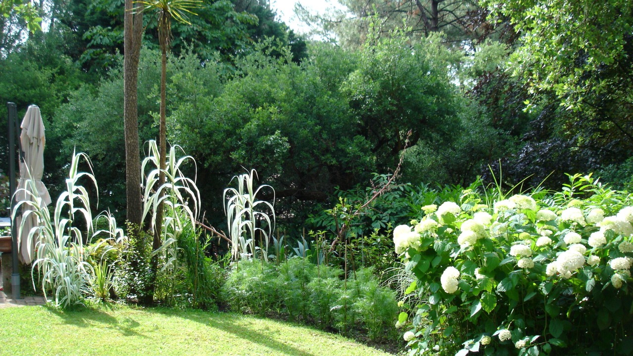 Photo of Outdoor in Soorts-Hossegor