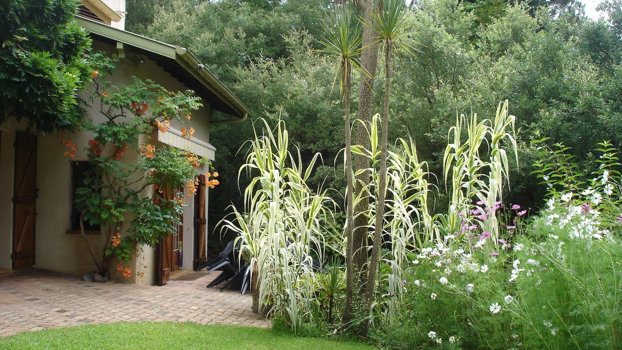 Photo of Outdoor in Soorts-Hossegor