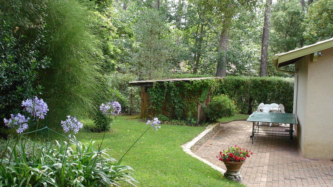 Photo of Outdoor in Soorts-Hossegor