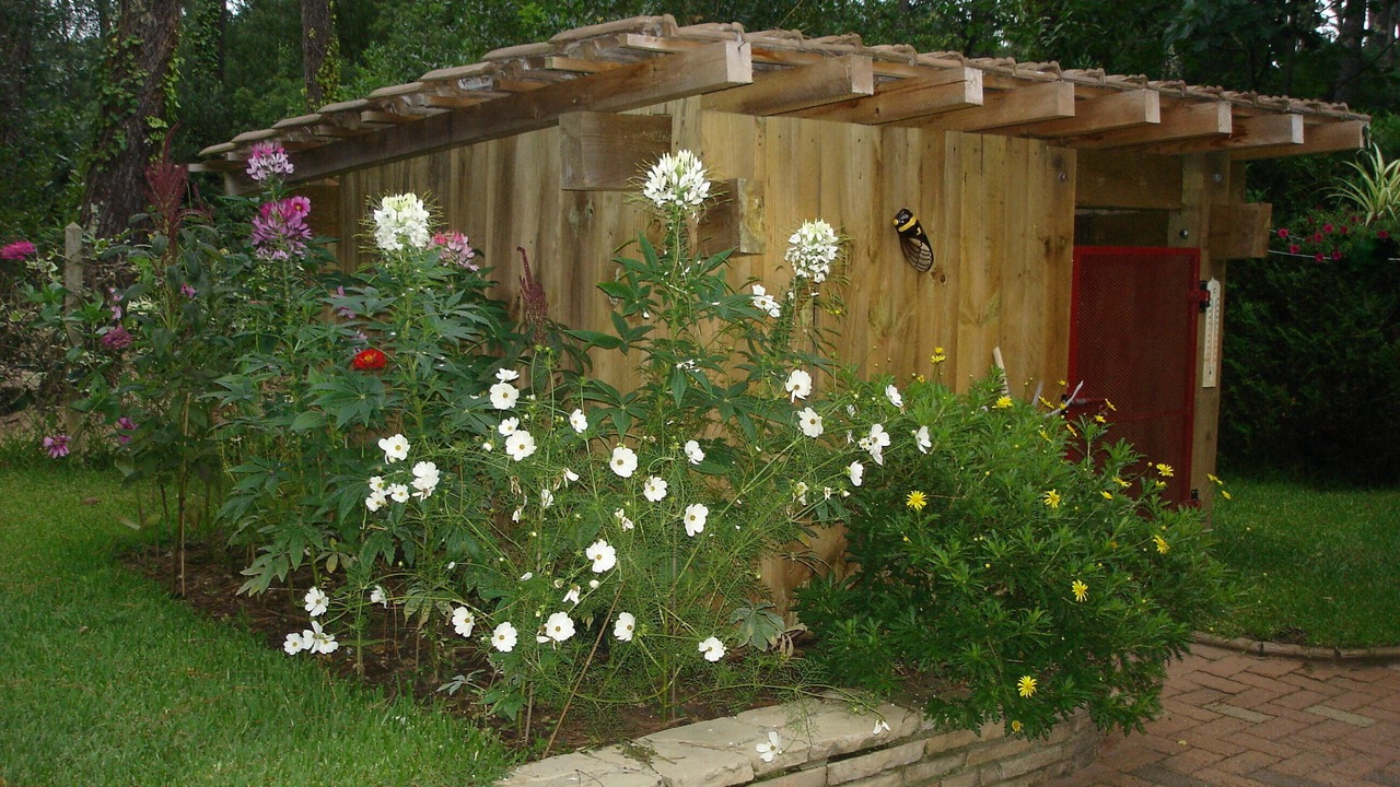 Photo of Outdoor in Soorts-Hossegor