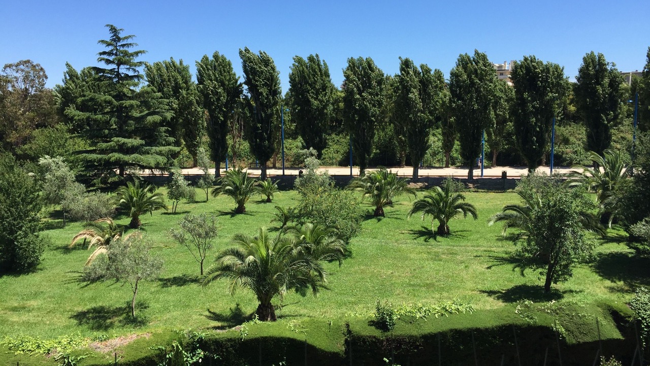 Photo of Outdoor in La Napoule