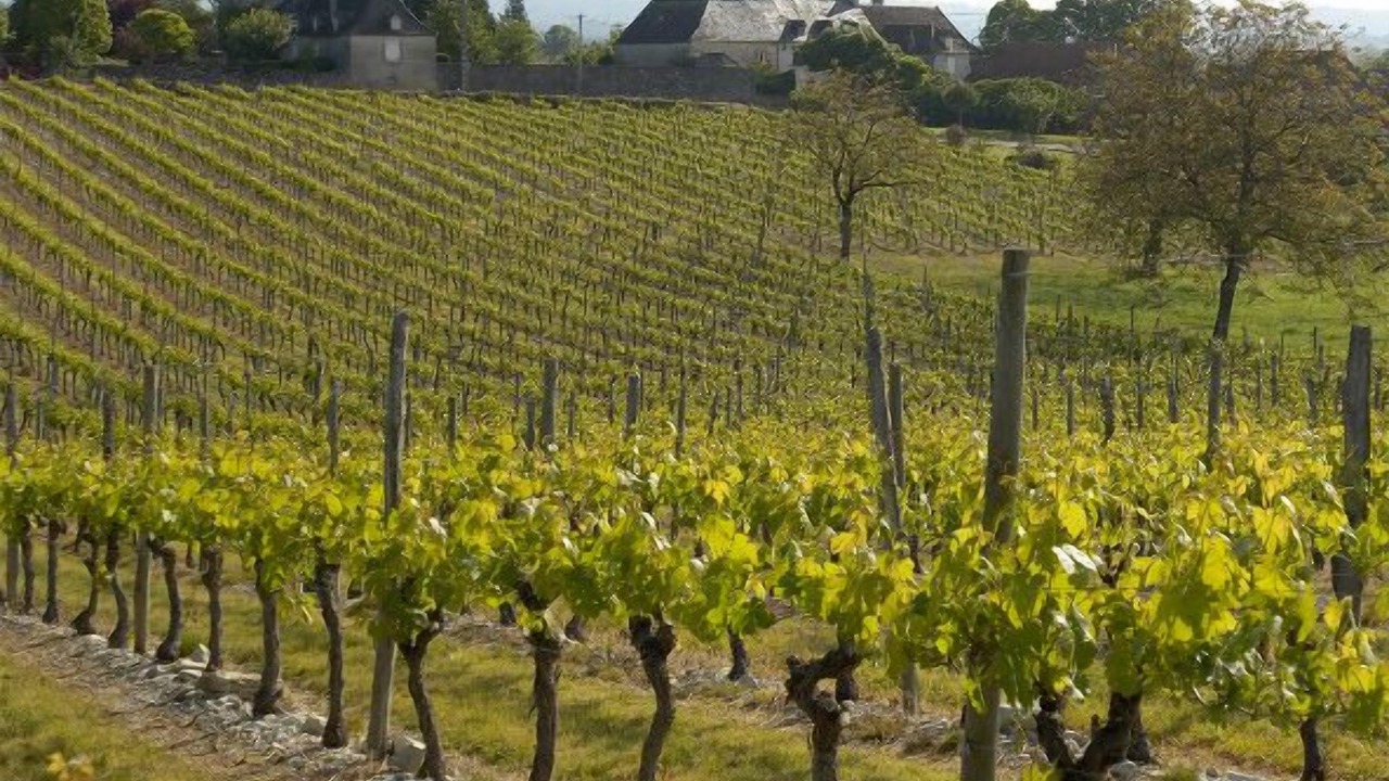 Photo of Outdoor in La Chapelle-aux-Saints