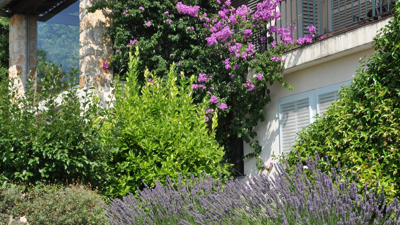 Photo of Outdoor in Magagnosc