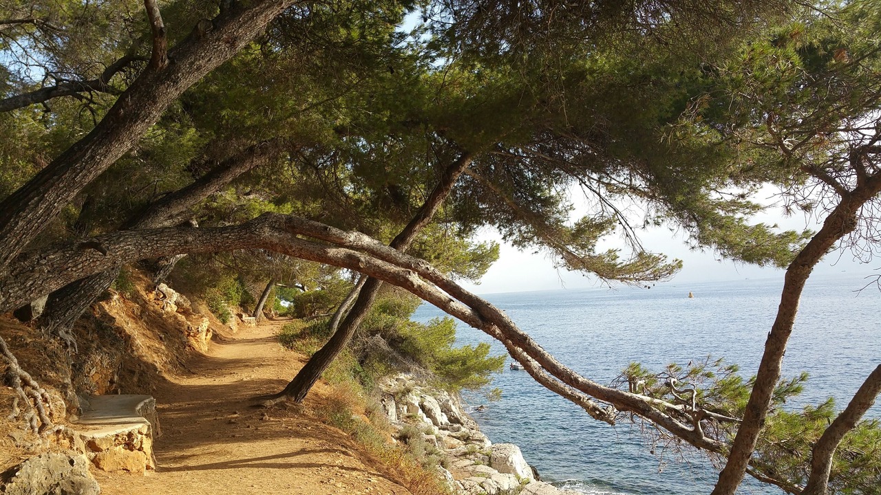 Photo of Outdoor in Eze