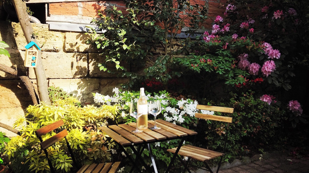 Photo of Outdoor in Saint Seurin - Fondaudege
