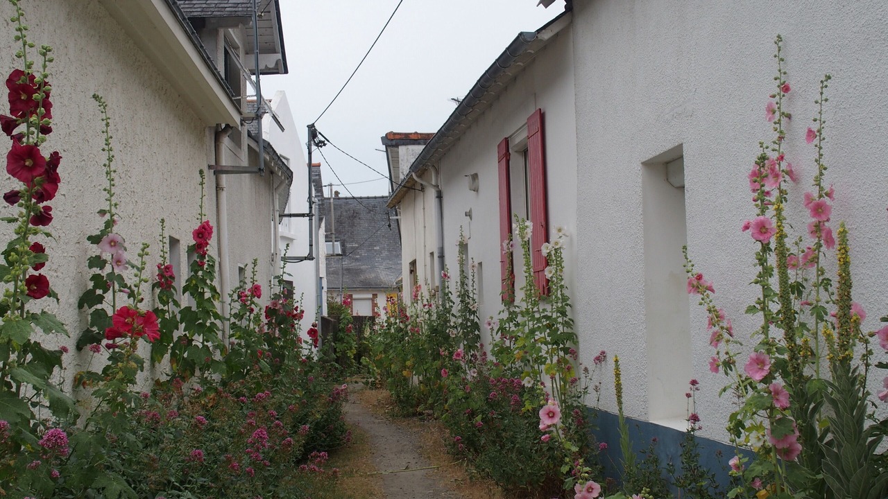Photo of Outdoor in Pornichet