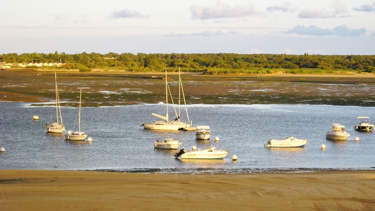 Photo of Others in Arcachon