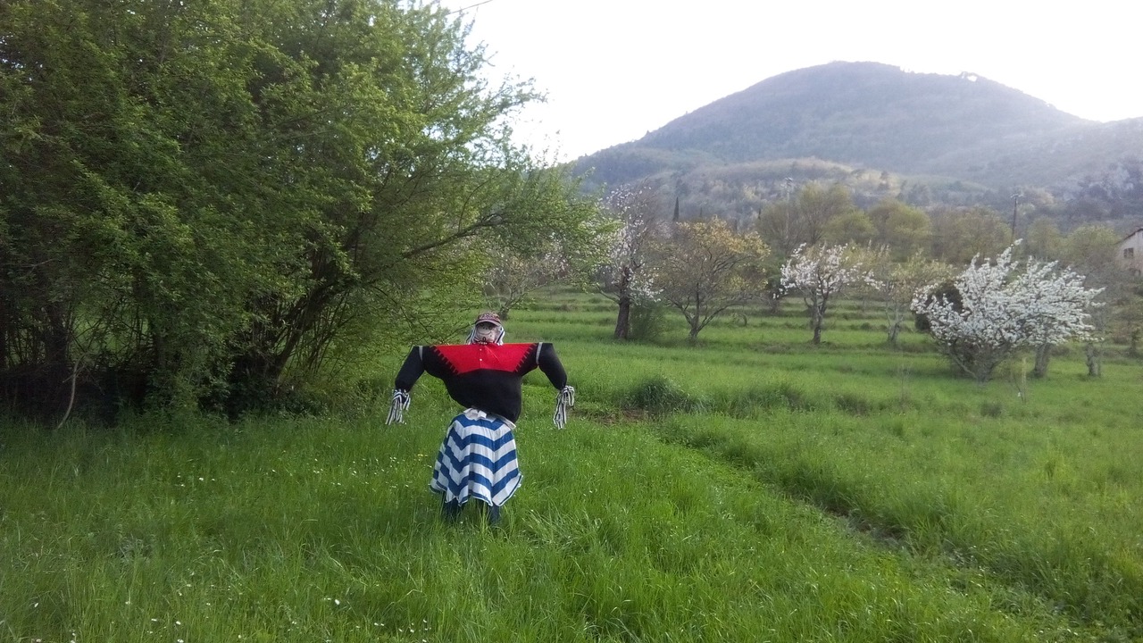 Photo of Outdoor in Sospel