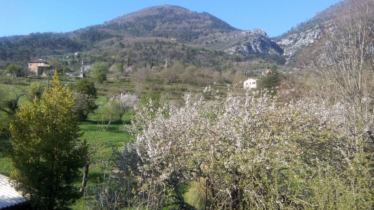Photo of Outdoor in Sospel