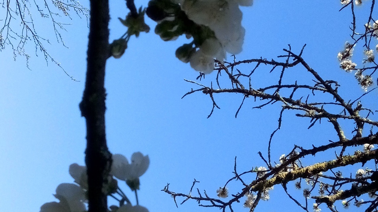 Photo of Outdoor in Sospel
