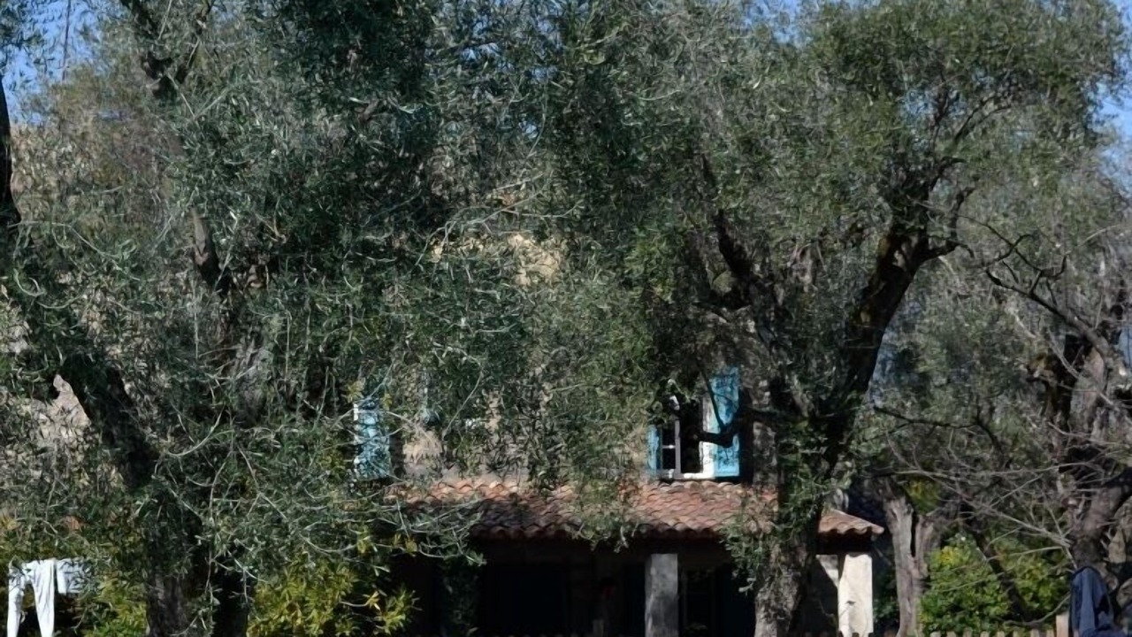 Photo of Outdoor in Le Plan-de-Grasse