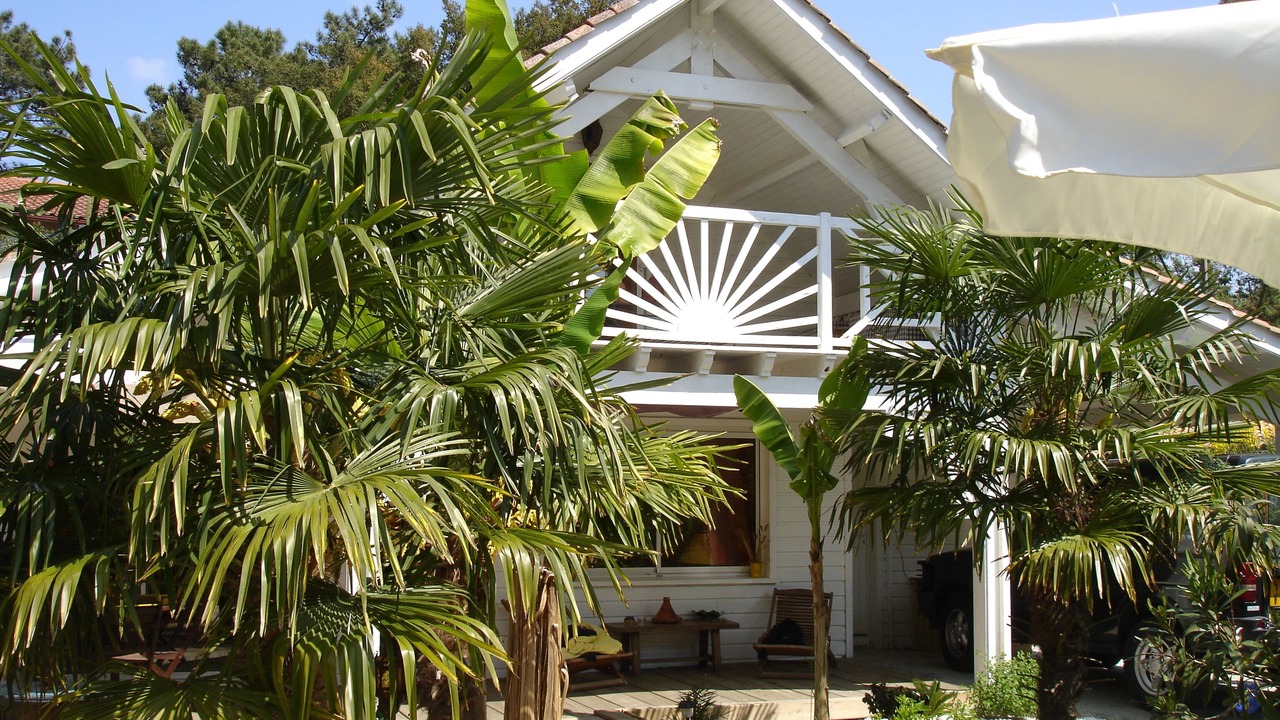 Photo of Outdoor in Labenne