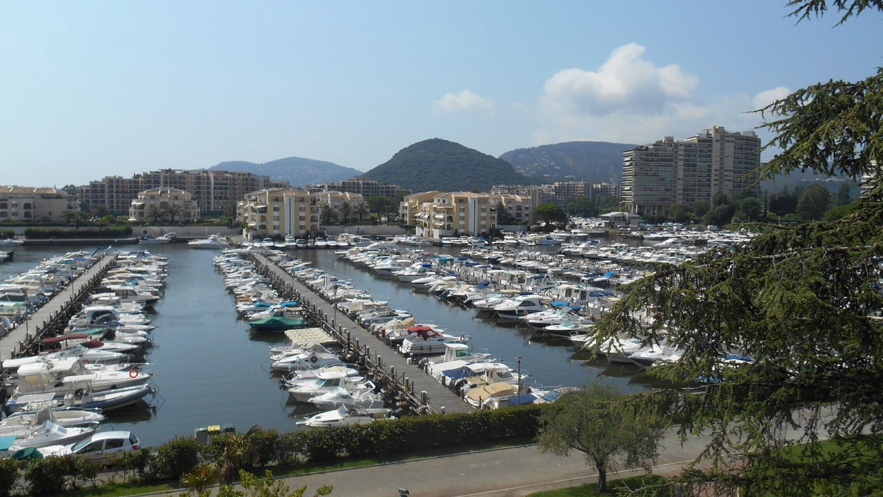 Photo of Others in Mandelieu-La-Napoule