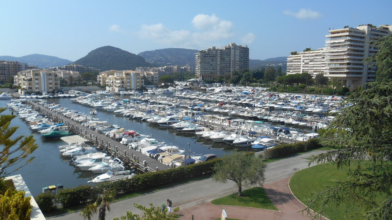Photo of Others in Mandelieu-La-Napoule