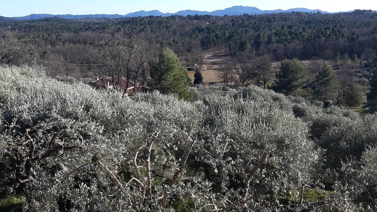 Photo of Outdoor in Callian